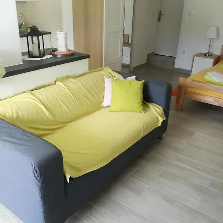 Dvorska Apartment *